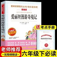[单本]爱丽丝漫游奇境记 鲁滨逊漂流记必读正版六年级下册课外书骑鹅旅行记汤姆索亚历险记