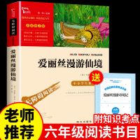 [老师推荐]爱丽丝漫游仙境 爱丽丝梦游奇境记六年级下册必读正版鲁滨逊漂流记课外书漫游仙境