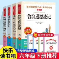 六年级下册 同步 赠考点手册 爱丽丝/注音版 无手册 鲁滨逊漂流记正版原著六年级下册必读书骑鹅旅行记汤姆索亚历险记