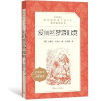 爱丽丝梦游仙境 骑鹅旅行记鲁滨孙漂流记汤姆索亚历险爱丽丝梦游仙境六年级下阅读
