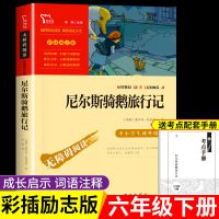 尼尔斯骑鹅旅行记 鲁滨逊漂流记正版汤姆索亚历险记六年级下册必读爱丽丝漫游奇境记