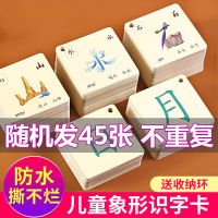 看图识字 试学45字 儿童看图识汉字宝宝象形识字卡3000字幼儿认字卡片幼儿园早教启蒙