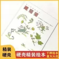 藏猫猫 藏猫猫 精装硬壳绘本儿童童年乐趣的故事书