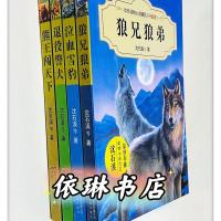 狼兄狼弟4本 狼兄狼弟沈石溪中外动物小说绝境血狼霸王龙父子情疤脸狮王系列
