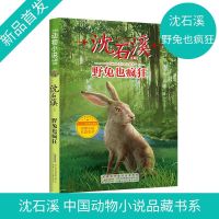 默认 野兔也疯狂 沈石溪动物小说 兔子也疯狂 小学生三四五六年级课外