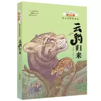 云豹归来 沈石溪动物小说大王野生动物救助站3册云豹归来孔雀斗舞少年雄狮