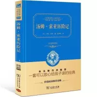 汤姆索亚历险记商务印书馆 罗湖四年级下必读风吹过的夏天汤姆索亚历险记柳林风声玛丽阿姨