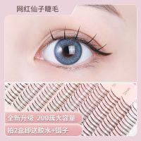网红仙子毛(两盒送胶水+镊子) 9+10+11+12mm 仙子毛鱼尾款夹心款焦糖棕色假睫毛混合分段式下睫毛超软朵毛