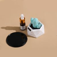 白色仙人掌 无人区玫瑰 仙人掌车载香水摆件汽车香薰扩香石车内淡香清香装饰用品大全摆件