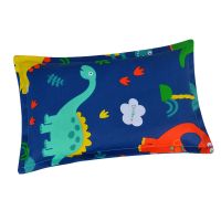 卡通世界(纯棉细布 儿童50X30) 荞麦枕头荞麦皮枕芯全荞麦护颈枕头成人颈椎枕四季荞麦壳枕单人