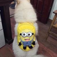 升级黄色大笑 狗狗自背包宠物大容量书包边牧哈士奇萨摩耶大狗户外出遛狗双肩包