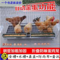 河北 北京 天津 加粗不带轮70号长70宽50高60 鸡笼家用特大号养殖笼加粗铁丝鸡鸭鹅笼自动滚蛋清粪折叠型蛋鸡笼