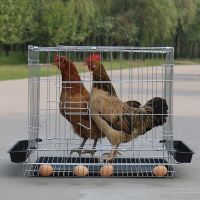 高贵银色 小鸡专用50*35*43送食盒 鸡笼子养鸡笼家用小号蛋鸡笼鹌鹑养殖笼自动滚蛋折叠鸡笼子鸡舍