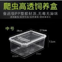 普通饲养盒 蚕宝宝观察盒手提饲养箱蚕别墅观察屋学生养蚕日记盒子