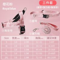 天空蓝_ 单独腰带 狗狗自动伸缩牵引绳狗链跑步遛狗神器狗绳中小型犬胸背带宠物用品