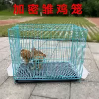 加密50*35*40(蓝色) 送粪盘+食槽+水槽+脚垫 雏鸡笼子家用小号加密小鸡笼养殖笼折叠雏鸡笼鸡舍鸽子笼鹌鹑笼