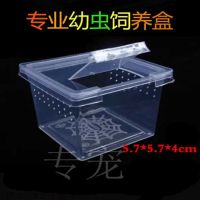 小方盒5.7*5.7*4cm 爬宠饲养盒两栖蜗牛蜘蛛守宫角蛙大号乌龟饲养箱带躲避造景爬虫盒