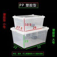 塑胶型自带食盆 [小号] 爬宠饲养盒亚克力透明塑料大号养蚕甲虫蜘蛛独角仙守宫爬宠饲养箱