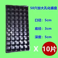 50穴加大孔[10片]加厚 蛋白虫化蛹盘蝎子脱皮盘无孔加厚大麦虫化蛹盒面包虫黄粉虫孵化盒