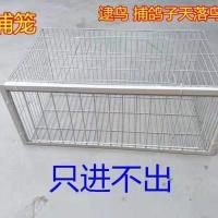 长60宽36高26(1个进口) 鸽子撞门笼天落笼只进不出撞门笼 自动撞门笼子 天落笼诱捕鸽子笼