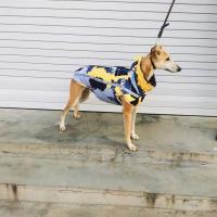 拉链服黄色迷彩 XS 建议18-22斤 格力犬衣服惠比特棉服 格惠犬冲锋衣 细狗拉链服 保暖中型犬加厚