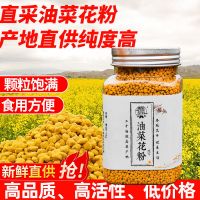 油菜花粉250g(送勺子) 2021青海油菜花粉前列腺 人吃食用天然花粉 茶花粉荷花粉蜜蜂花粉