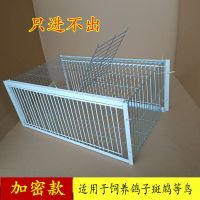 无天窗40x30x26(2个进口) 加密 天落笼鸽子野外连续只进不出抓鸽子笼捕鸽神器收鸽机防逃脱撞门笼