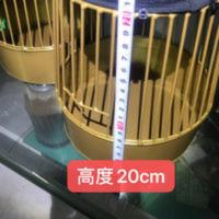 鹌鹑笼 鹌鹑养笼 竹鸡笼 鹧鸪笼 鸡媒笼 家用鹌鹑笼盆 鹌鹑笼 鹌鹑养笼 竹鸡笼 鹧鸪笼 鸡媒笼 家用鹌鹑笼盆