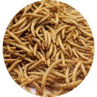 袋装150克(买2赠1) 面包虫干黄粉虫干微波仓鼠鸟类观赏鱼类龟饲料