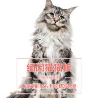 2000g 优趣缅因猫专用猫粮2kg4斤幼猫成猫全期冻干颗粒益生元