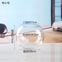 15圆球(裸缸) 创意玻璃鱼缸圆形生态水族箱大号乌龟缸金鱼小型桌面造景水培花瓶