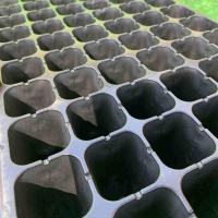 加深72穴无孔化蛹盘加滑10片 蛋白虫化蛹盒大麦虫化蛹盘蛋白虫化蛹盘种虫孵化盒化蛹盒化蛹盘