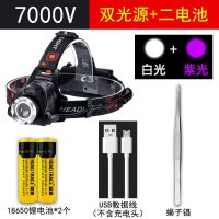 [紫+白 双光源]双锂电池套餐 蝎子灯专用捕蝎紫光超亮抓捉照蝎子灯白光头戴式强光手电充电头灯