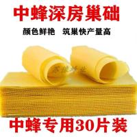 中蜂30片 中蜂巢础片蜂蜡蜂巢蜜蜂巢框蜂箱养蜂工具专用皮巢脾巢皮深房巢基