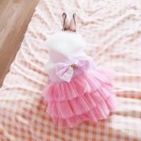 粉色蕾丝裙 XL 兔子衣服侏儒兔宠物兔衣服兔子用品秋冬垂耳兔裙子幼保暖荷兰猪