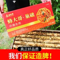 正品蜂大哥巢础[10片试用装] 1盒 中蜂巢础蜜蜂巢脾深房巢础片蜂蜡片土蜂箱巢皮巢础养蜂工具