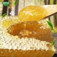 嚼着吃蜂巢蜜1盒(500克) 蜂蜜 蜂巢蜜天然野生土蜂蜜正宗槐花蜜百花蜜嚼着吃的蜂蜜蜂蜜巢