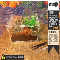 20*12*12CM套餐(1) 202220*12*12cm爬虫亚克力饲养盒宠物蜘蛛蝎子蜘蛛寄居蟹盒高透安