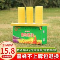 蜂旺中蜂巢础[10片装](买5送1) 蜂旺巢础中蜂巢础片蜂蜡深房蜜蜂巢础蜂箱专用蜂脾巢框养蜂工具