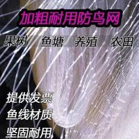 白色防鸟网2.5网孔 3米宽15米长展开长度约11米 防鸟天网尼龙农用果园防鸟樱桃葡糖农田稻谷大棚鱼塘防护网拦鸟网