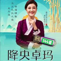 128MB降央卓玛144首U盘无视频 降央卓玛专辑U盘走天涯西海情歌乌兰巴托的夜卓玛敖包相会音频mp3