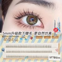仙子毛混装(3排) 小澳丁仙子毛睫毛a型鱼尾混合装女自然仿真自粘单簇眼嫁接假睫毛