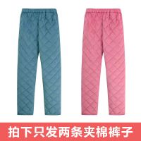 Y600 实惠装2条棉秋裤天兰+西瓜红 M (80-100斤) 睡衣女士冬季珊瑚绒三层加厚加绒保暖夹棉法兰绒春秋冬天款家