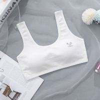 1件装[白色] M码(建议65-85斤) 发育期少女内衣初中女生13岁内衣女夏天薄款中学生无钢圈女童背心