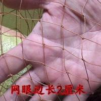 轮胎线2指2*2 轮胎线抬网捕鱼网抬网搬筝网搬网拉网尼龙网围网拦河网清塘网鱼塘