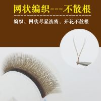 10排焦糖色-8mm 焦糖色y型嫁接睫毛 YY字爱情编织网状交叉款咖啡深棕色开花郁金香