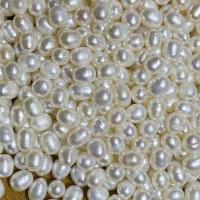 白色[无孔] 5-6mm[100克] 散珠天然淡水珍珠称斤DIY手工串珠米珠手链项链带孔扎发财树材料