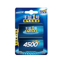 碳性 丰蓝1号 2粒装 一号电池1号大号碱性电池燃气灶热水器干电池天然气灶电池