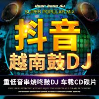 越南鼓DJ(CD碟片) 2021越南鼓劲爆DJ舞曲U盘炸街流行DJ夜场蹦迪打碟重低音嗨曲mp3