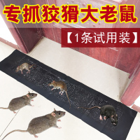 1.2米粘鼠魔毯1条(试用装) 老鼠贴强力粘鼠板老鼠夹神器室内抓老鼠胶灭鼠器沾扑捉粘鼠毯
